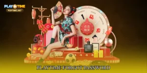 PlayTime Forgot Password